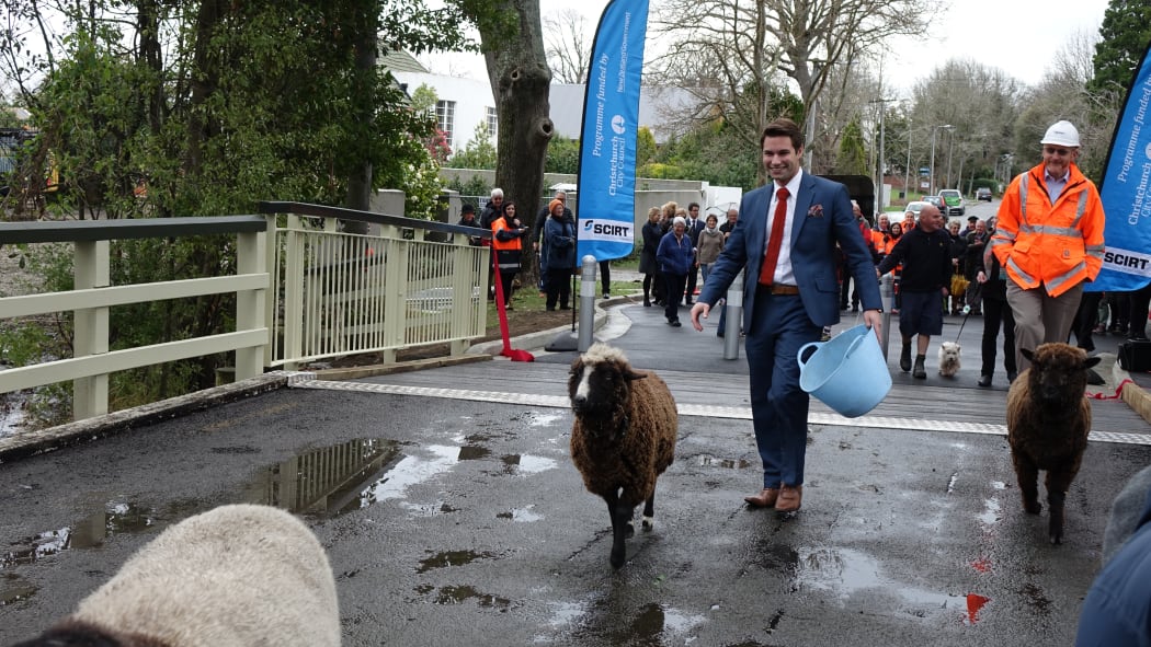 Sheep were amongst the first to test out the re-opened bridge.