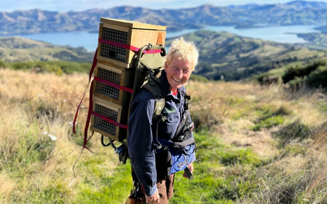 Karin Bos and Nightshade the dog are helping eradicate hedgehogs from the Kaitōrete Spit, Banks Peninsula