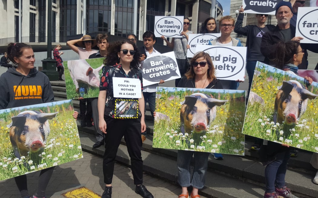 A petition demanding a ban on the use of farrowing crates was delivered to Parliament today.