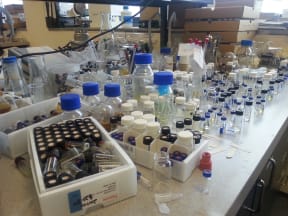 A photo of rows of glass vials with samples of metal-organic frameworks
