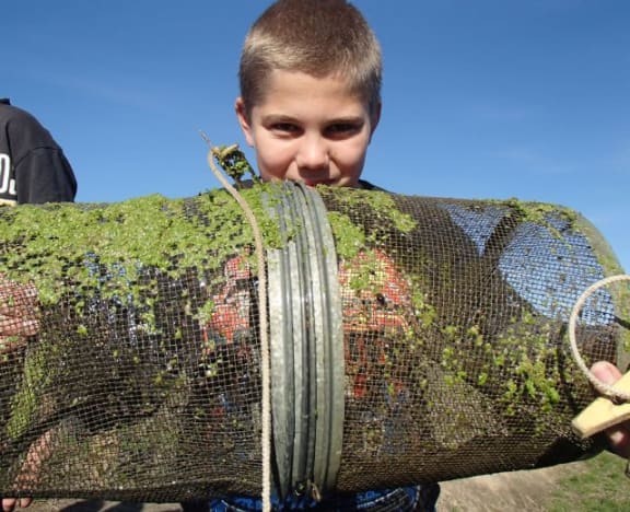 A student from St Andrew's primary school holds a fish trap containing Canterbury mudfish.