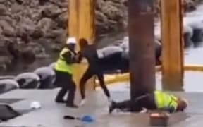 A video of an incident at the controversial marina development on Waiheke Island appears to show a protester being kicked in the face.