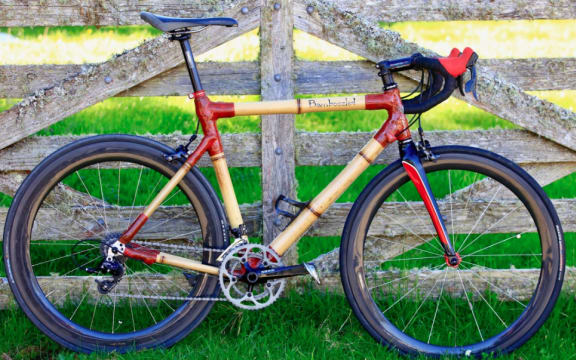 Bamboo bike