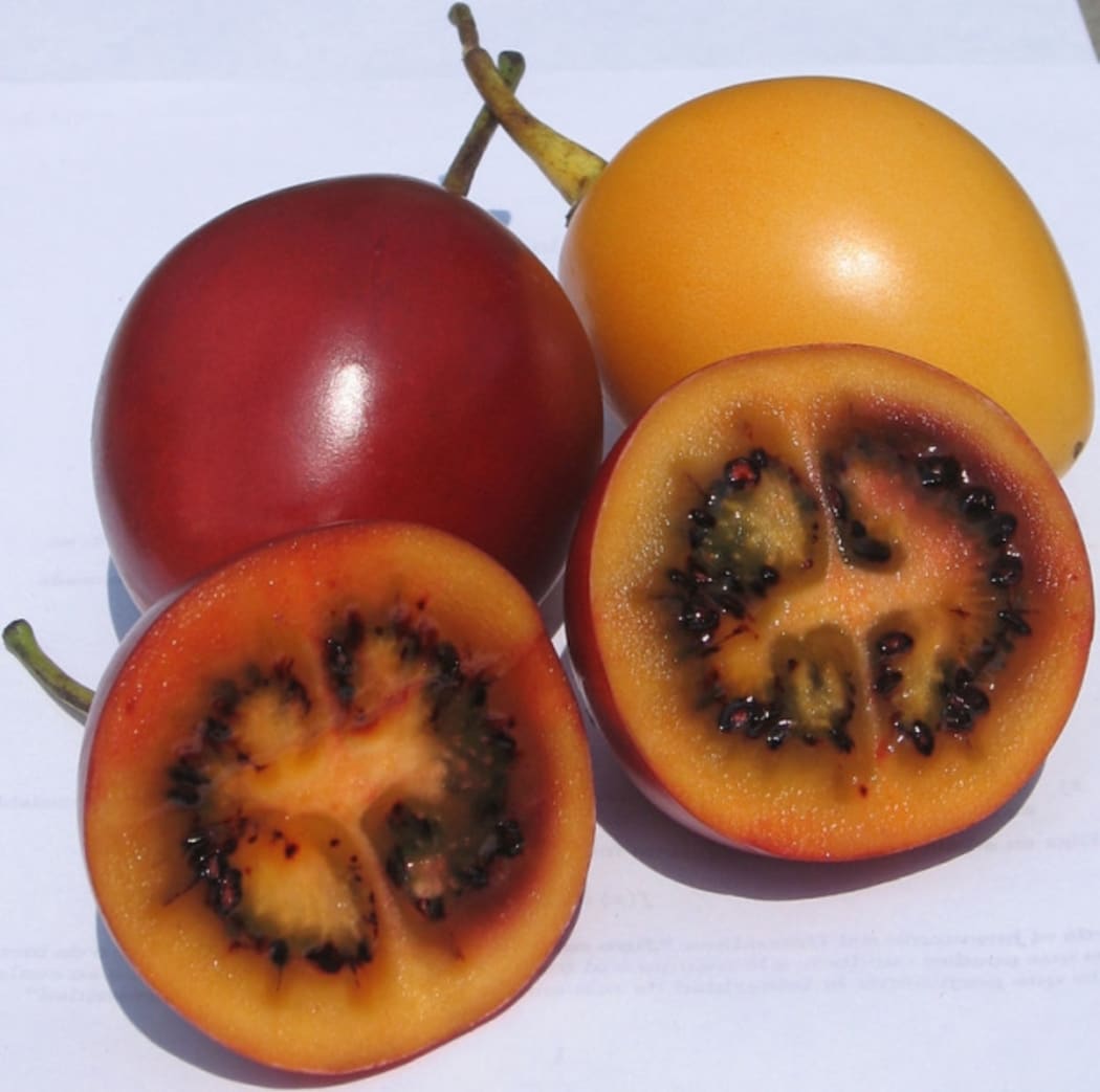 tamarillos