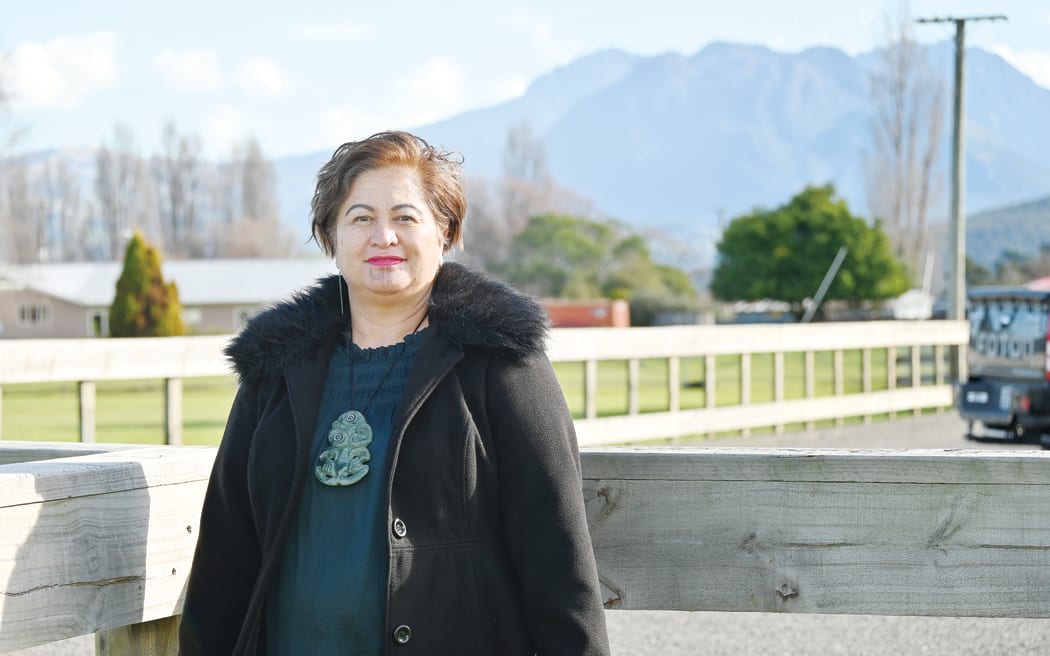 Māori ward councillor Rhonda Tibble laid out a series of concerns at Thursday's meeting, saying the council did not have enough information on the history of the whenua.