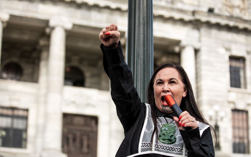 Te Pāti Māori co-leader Debbie Ngarewa-Packer is defending protest action just days into a new government taking office.