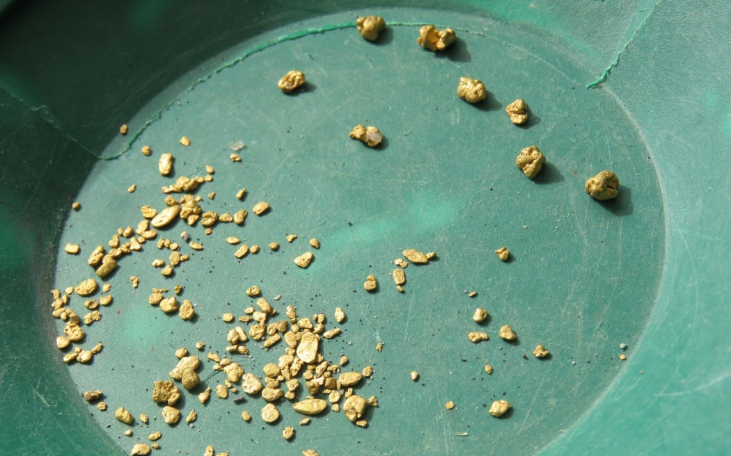 Some nuggets Mal found while dredging in Central Otago