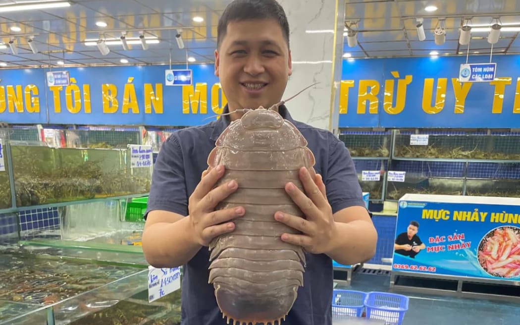 Study coauthor Dr. Thanh Son Nguyen, a researcher at Vietnam National University, holds B. jamesi in October 2024. The species of isopod is also found in the coastal waters of Vietnam, and this specimen weighs 2.6 kilograms (5.8 pounds).