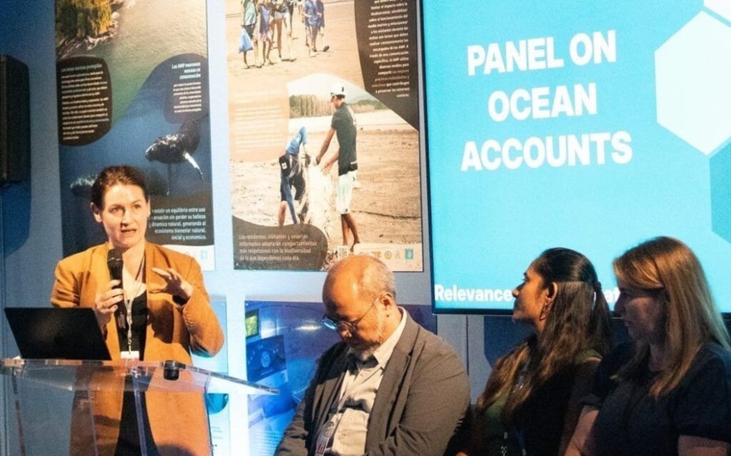 Eliza Northrop, the Director of the University of New South Wales’ Centre for Sustainable Development Reform, addresses a panel on Ocean Accounts in Sydney. Photo/UNSW