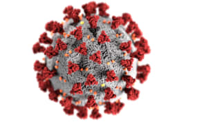 This illustration, created at the Centers for Disease Control and Prevention (CDC), reveals ultrastructural morphology exhibited by coronaviruses. Note the spikes that adorn the outer surface of the virus.
