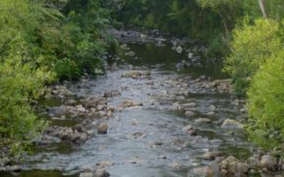 northland forest