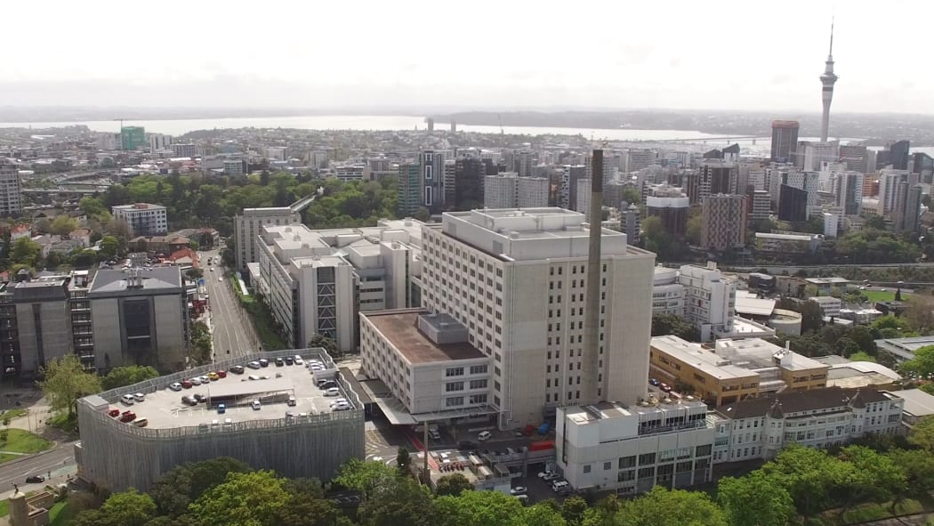 Auckland Hospital
