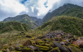 The beautiful landscape of the southern island of New Zealand is a mountain range of lake forests.