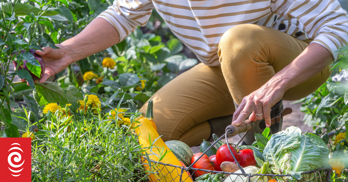 Is homesteading a challenging yet alluring way of life?