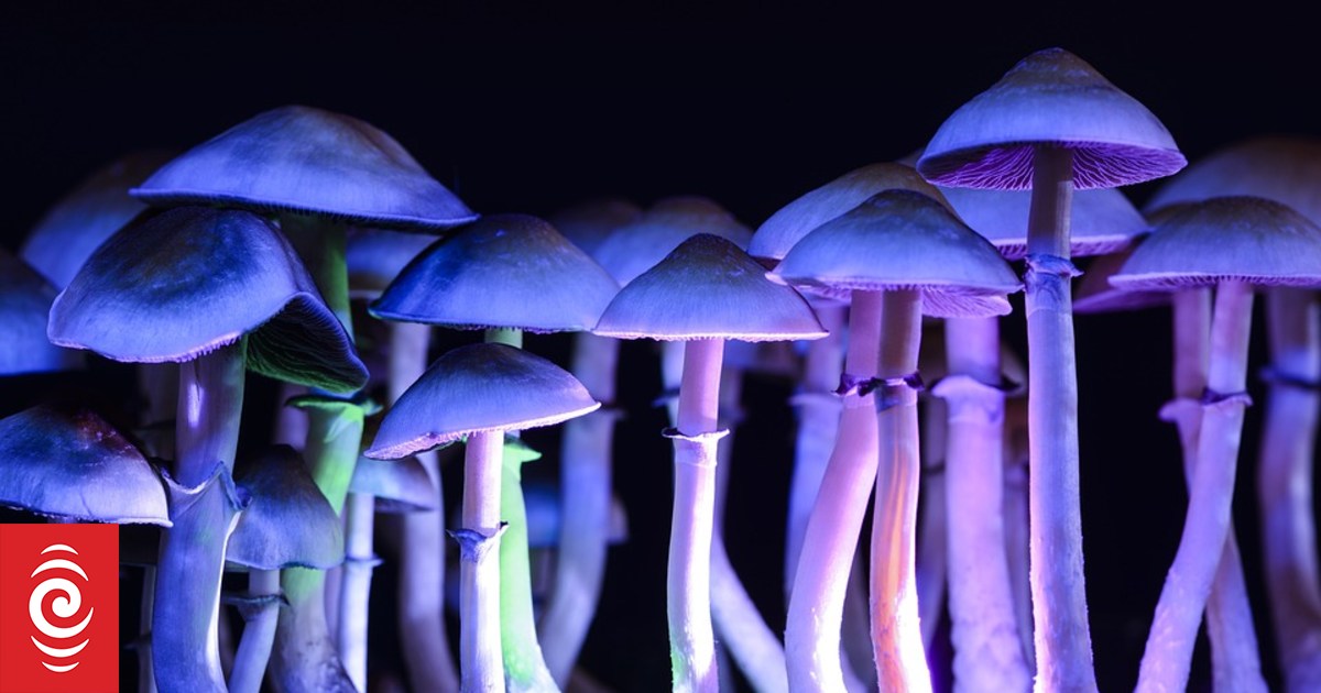 Could Psilocybin Mushrooms Treat Eating Disorders?