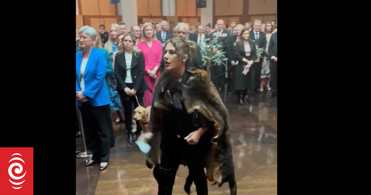 King Charles heckled by lawmaker at Australian parliament RNZ News