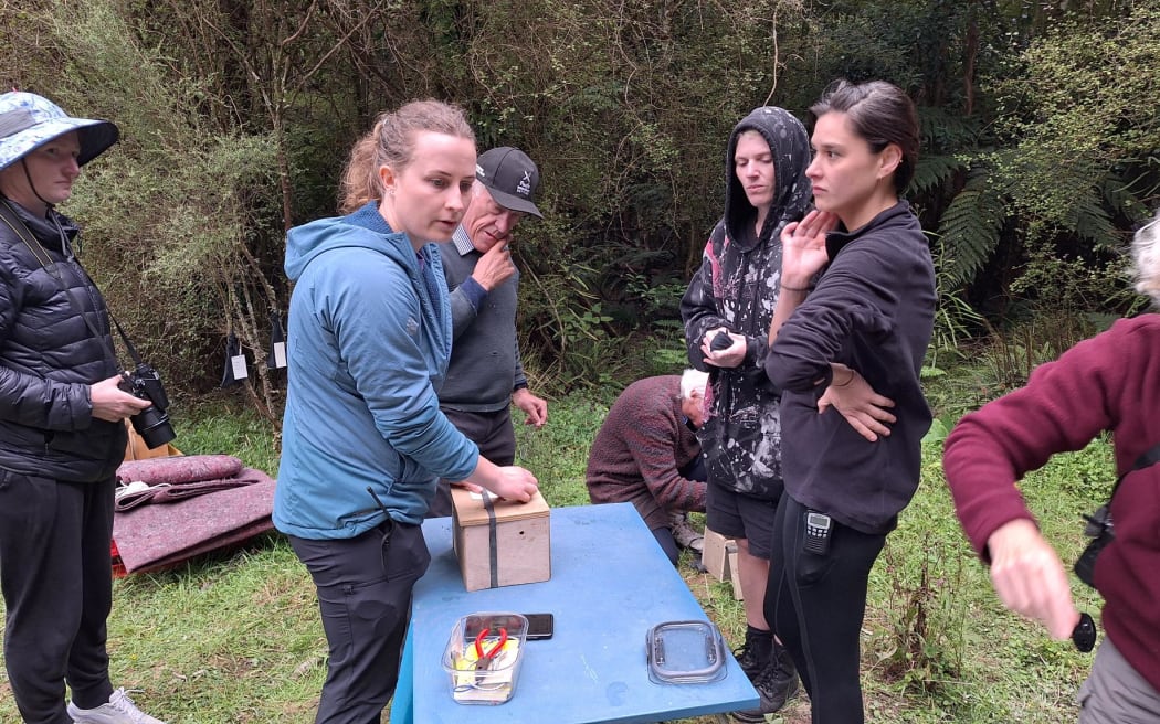 Volunteers at the banding station table.