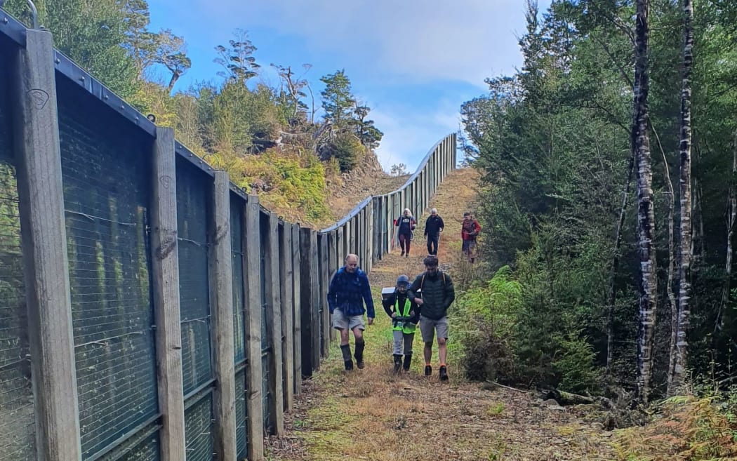 You can see a large pest proof fence on the left of the shot, and a pathway to the right of the fence with six people walking alongside it. Further to the right the forest begins.