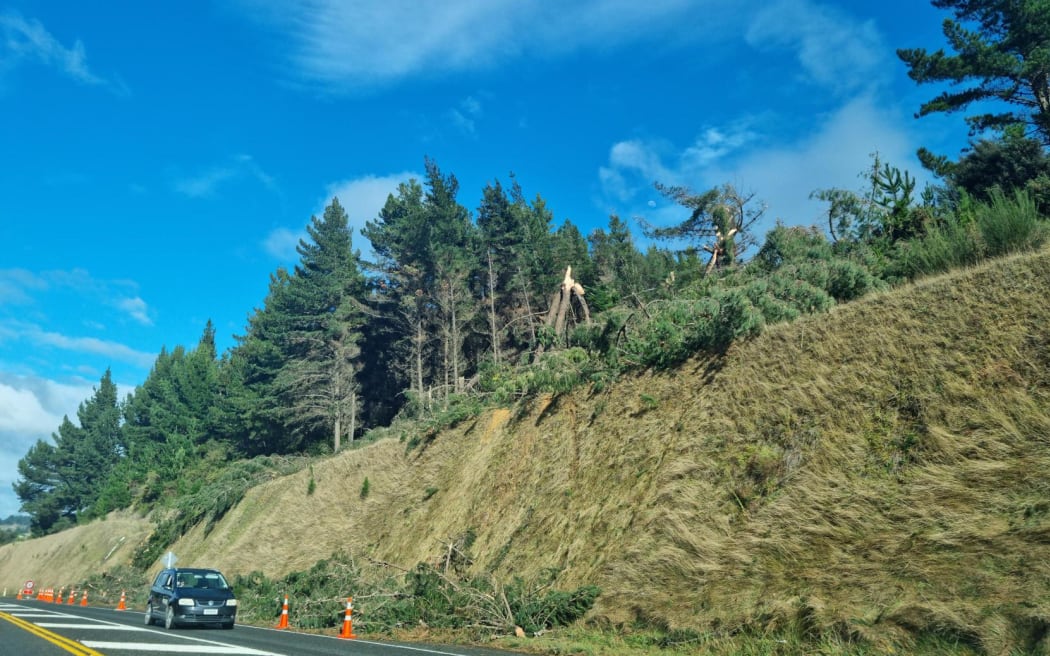 A section of State Highway 60 between Richmond and Motueka where trees were toppled by a tornado on Monday, reducing the highway to one lane. Contractors are on site clearing the trees on Tuesday.