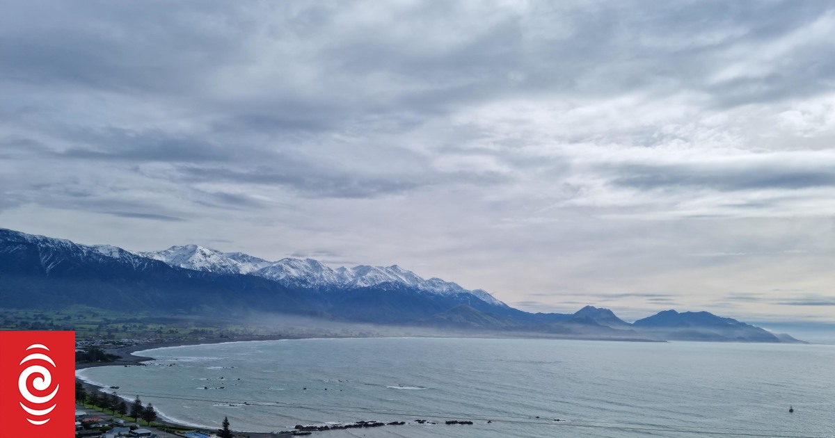 No prosecutions over Kaikōura bird watching boat capsize that killed five - Vimarsana News