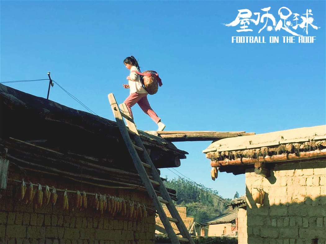 New Zealand Chinese Film Festival (NZCFF)