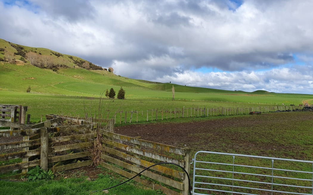 Sheep and beef farm in Manawatu