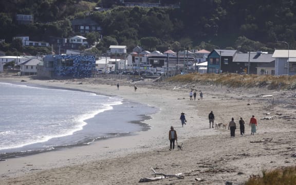 Untreated water is leaking onto the capital's south coast beaches due to the Moa Point Treatment Plant flooding and being turned off from early this morning.