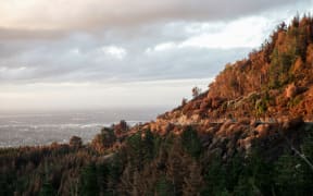 Christchurch fire - Port hills