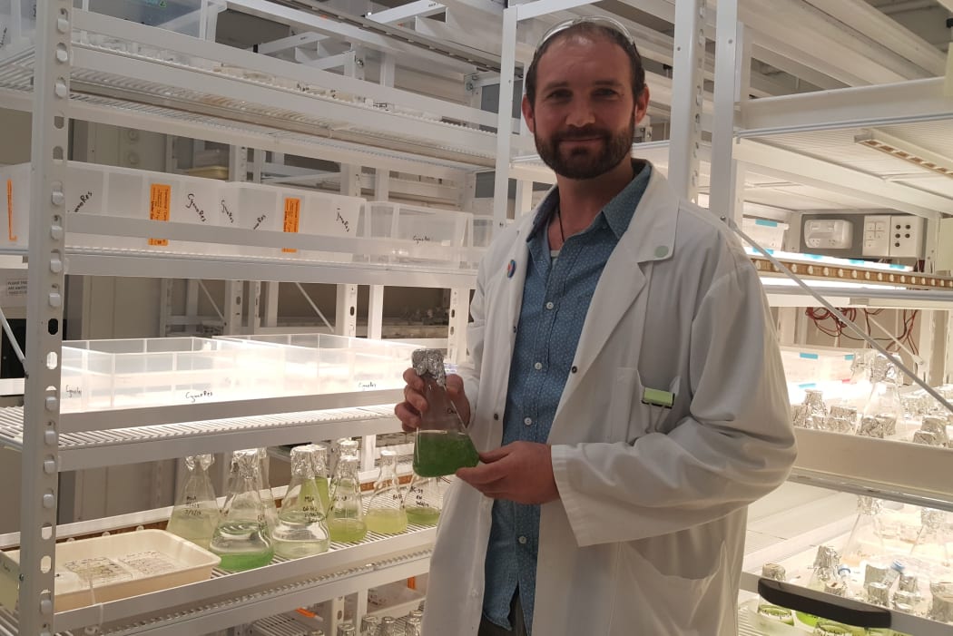 Jonathan Puddick and flasks containing the living collection of microalgae that is housed at the Cawthron Institute.
