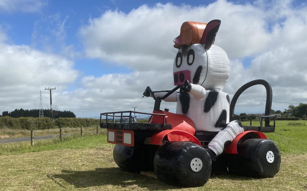 A cow wearing a helmet made out of hay bales sitting on a makeshift quad bike.