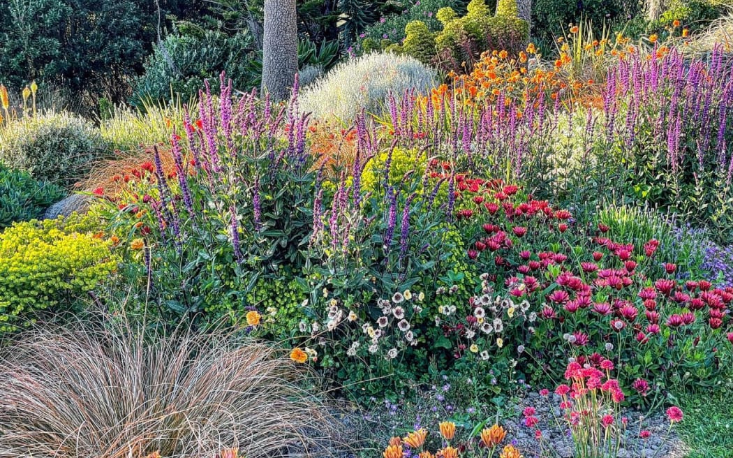 A garden in bloom