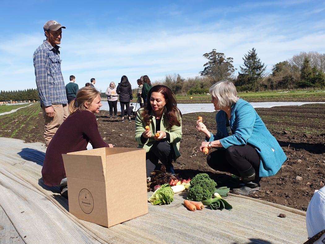 Green Party co-leader Marama Davidson trying out the produce at an organic farm in Leeston on 12 September, 2020.
