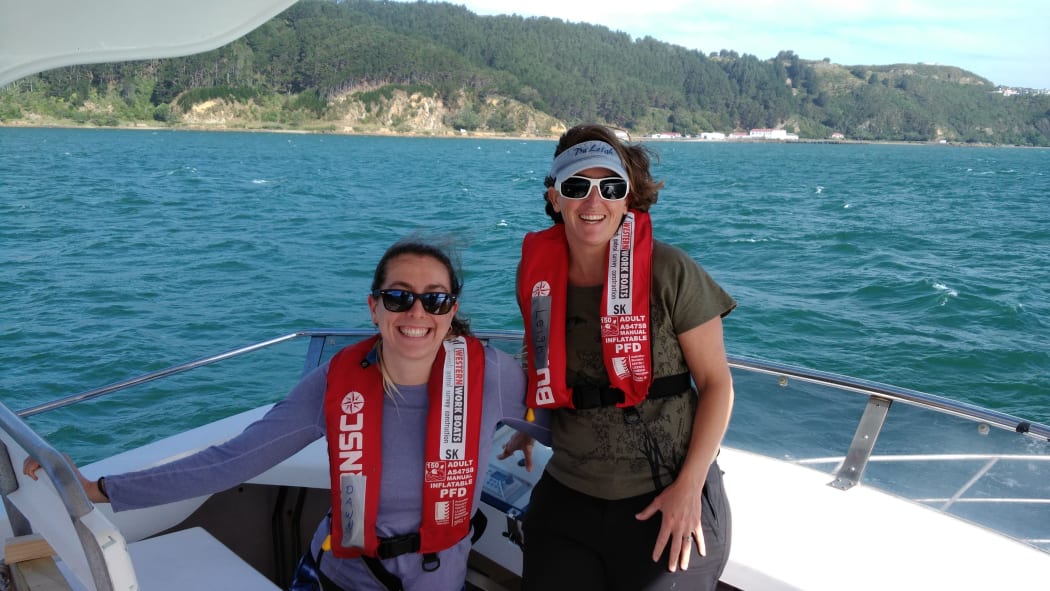 PhD student Dawn Barlow (left), and Leigh Torres, during the 2017 study in the South Taranaki bight.