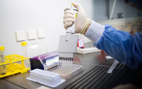 Cancer research. Laboratory developing therapeutic vaccines for the treatment of lung cancer by stimulating the immune system.