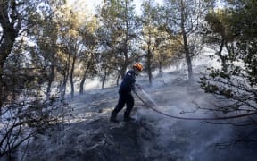 A firefighter tries to extinguish a forest fire in the Keratea area, southeast of Athens, Greece, Sunday, June 30, 2024. Two large wildfires were burning Sunday near Greece's capital of Athens, and authorities sent emergency messages for some residents to evacuate and others to stay at home and close their windows to protect themselves from smoke. (AP Photo/Yorgos Karahalis)