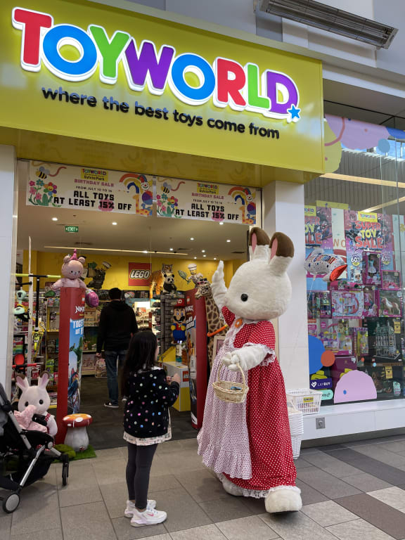 Toyworld in the Sylvia Park shopping centre in Auckland.