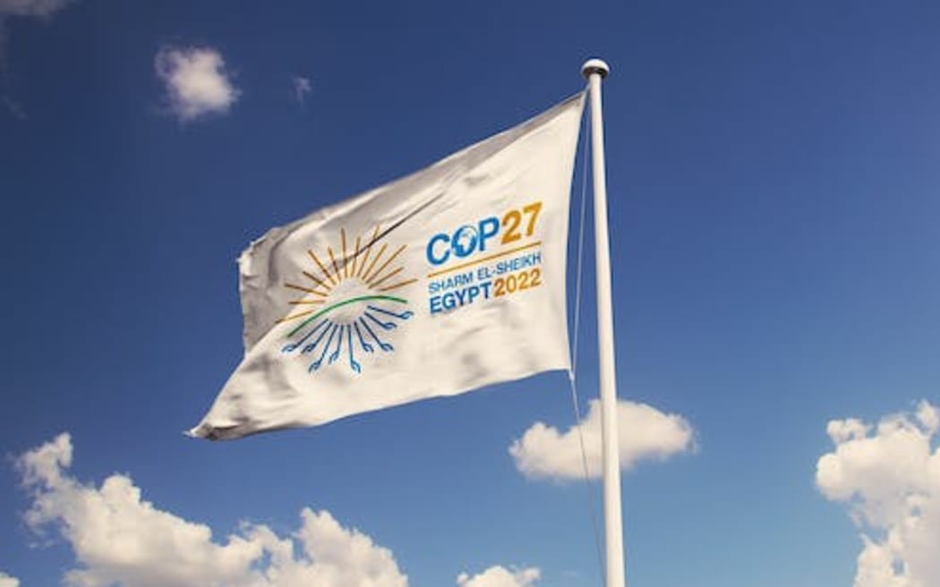 COP 27 Flag