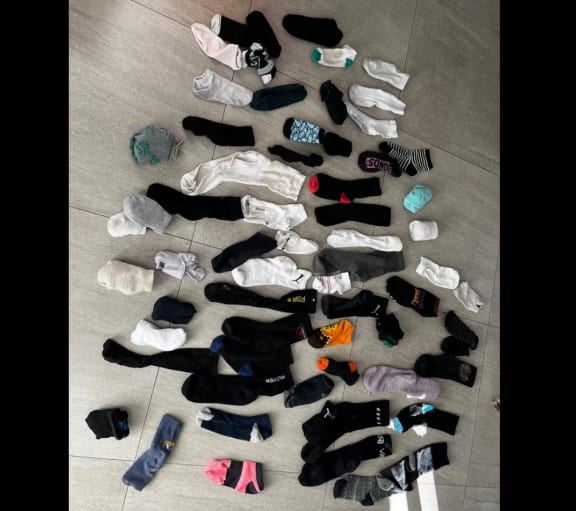 Two-year-old Nico the cat has been ransacking his neighbours' laundry, bringing home more than 200 items of clothing since April, a headache for his family who have been trying to no avail to find the owners.