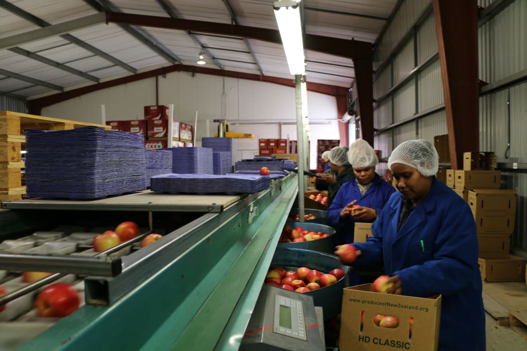 The World Bank has called for more jobs to be made available for women in New Zealand and Australia under their respective Pacific labour mobility schemes.