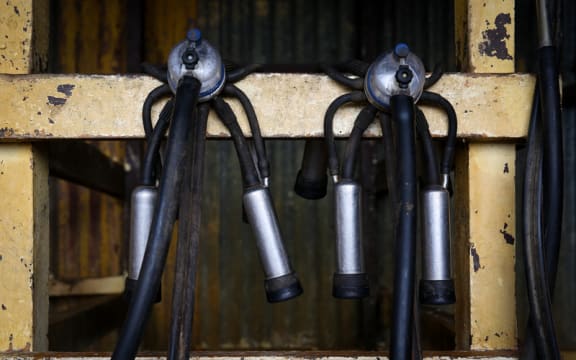 Organic milking teat cups.