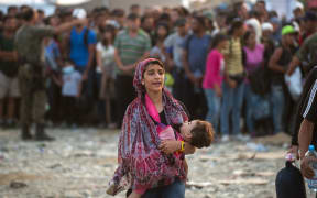 Migrants board a train to Serbia at the border between Greece and Macedonia on Sept 5, 2015. 245,000 have landed in Greece and 116,000 in Italy.