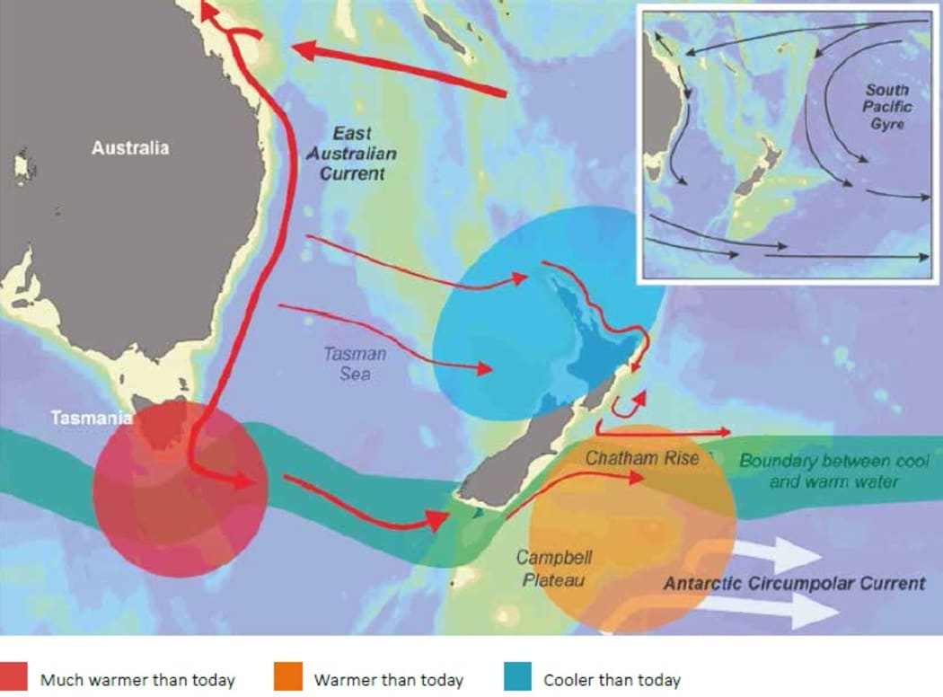 Changing sea temperatures around New Zealand over the next 100 years.