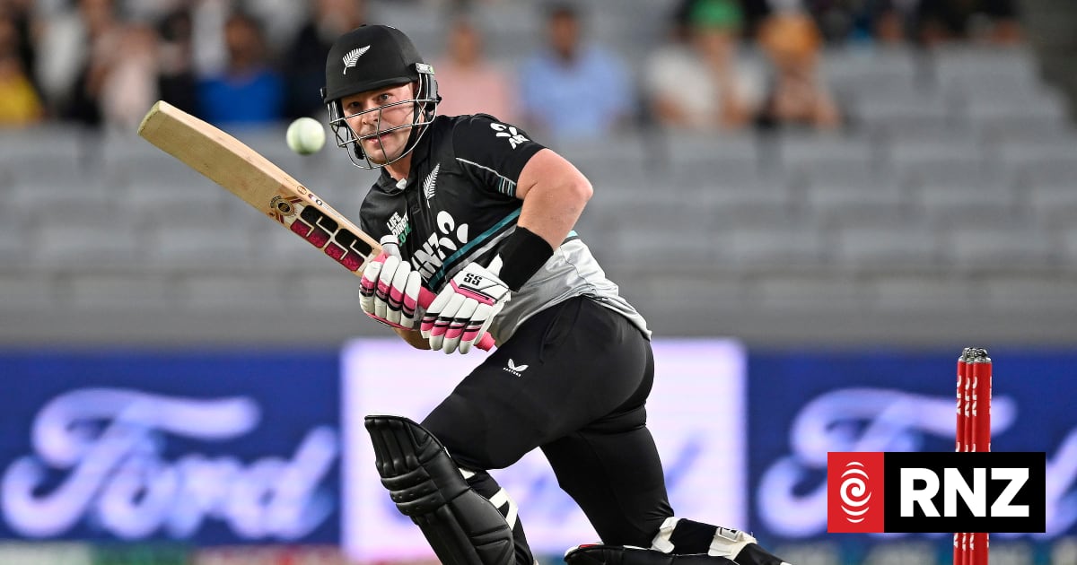 New Black Caps coach expects more from Zimbabwe in Test series | RNZ