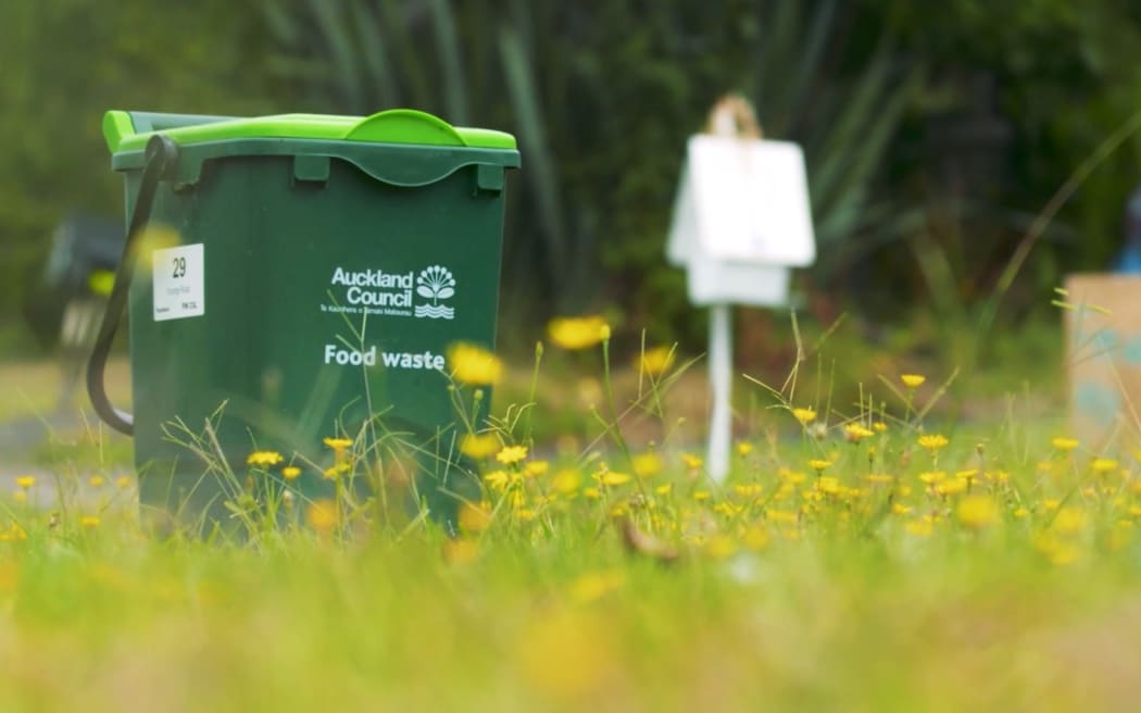 An Auckland Council food waste bin ready for pickup.