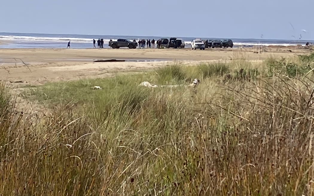 Several Ford car dealers gathered at Papatowai Beach last month