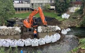 Pukehohe road works - single use