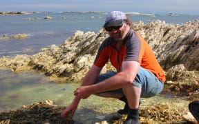 Peter Langlands foraging for seaweed