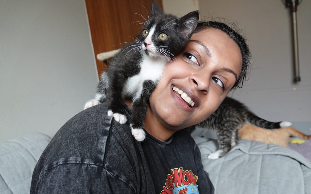 Māmā Mini's has about 20 kittens at the moment and has rehomed about 100 this year.
