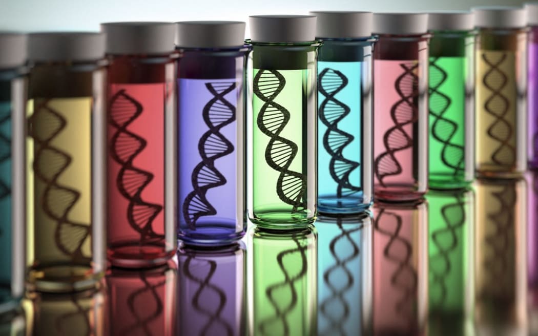 Coloured test tubes containing a DNA (deoxyribonucleic acid) double helix, computer illustration. (Photo by KTSDESIGN/SCIENCE PHOTO LIBRARY / KTS / Science Photo Library via AFP)