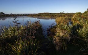 Waiwhakareke Natural Heritage Park